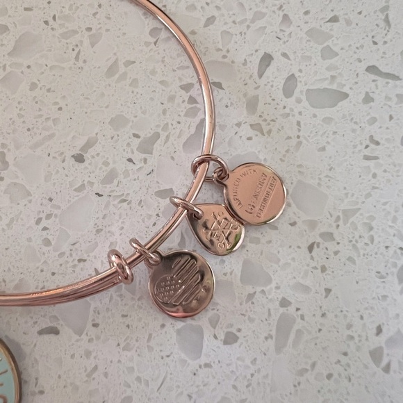 ALEX AND ANI mind over matter bracelet bangle EUC - Picture 7 of 10